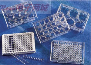 Costar 3506 6孔帶蓋的多個孔細胞培養板中，處理過的，無菌的，5/PK